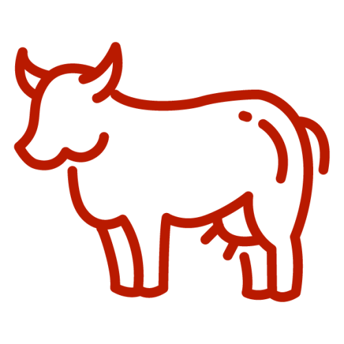 Carne di Bovino